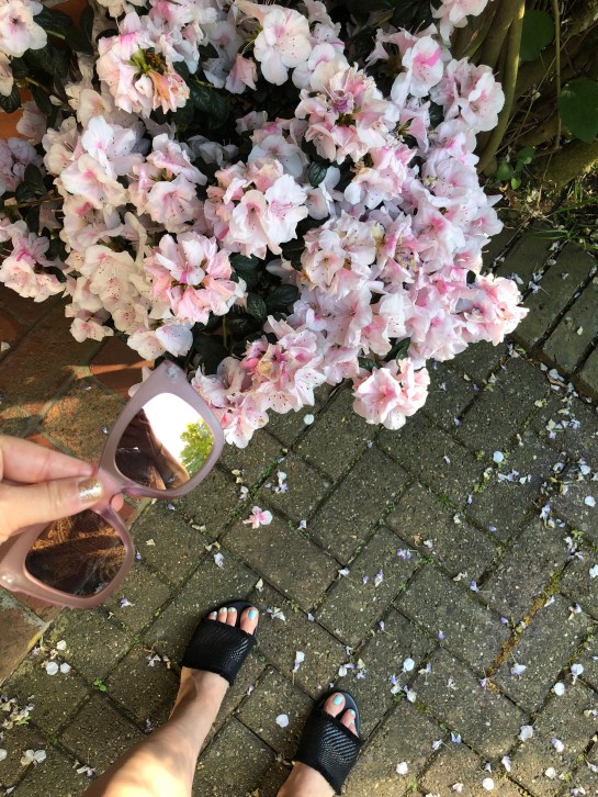 TGA_Pink Flowers Hampstead London